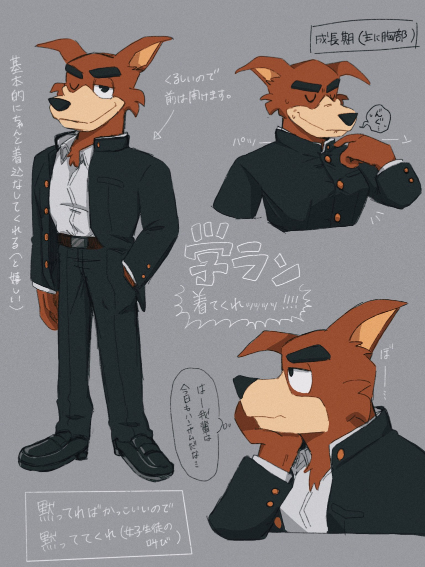 2020 anthro black_nose brown_body brown_fur canid canine canis clothed clothing disney don_karnage ducktales ducktales_(2017) eyebrows eyes_closed fully_clothed fur grey_background hi_res japanese_text male mammal mmmt3c_d one_eye_closed red_wolf simple_background solo standing talespin text wolf