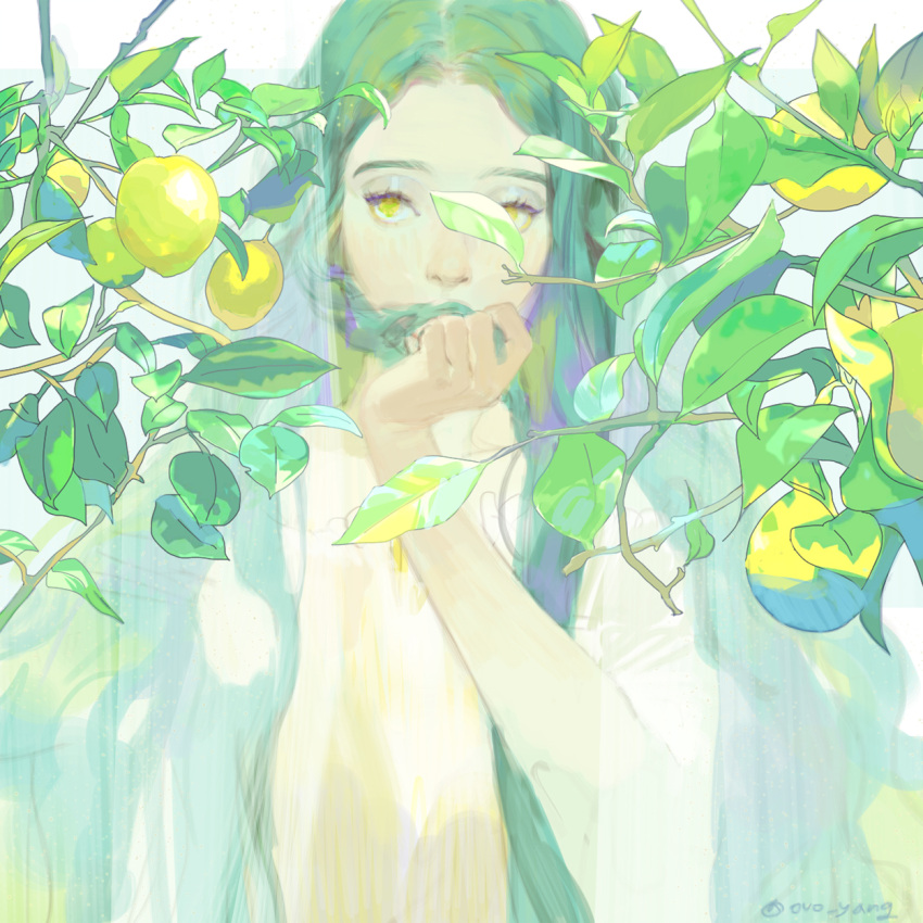 1girl blurry braid branch covered_mouth curtains day depth_of_field dress eyelashes food fruit green_hair green_theme hair_over_mouth hand_up highres holding holding_hair korean_commentary lemon long_hair looking_at_viewer original plant side_braid single_braid solo twitter_username upper_body white_background yellow_eyes yokan_(cxsp4773)