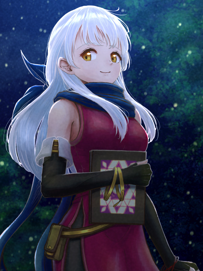 1girl absurdres bangle bare_shoulders belt black_gloves blue_scarf book bracelet dress elbow_gloves fingerless_gloves fire_emblem fire_emblem:_radiant_dawn gloves grey_hair hair_ribbon half_updo highres holding holding_book jewelry long_hair looking_to_the_side micaiah_(fire_emblem) night night_sky powderkinako ribbon scarf side_slit sky sleeveless sleeveless_dress smile solo yellow_eyes