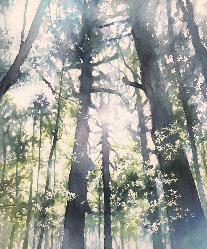 branch cloud cloudy_sky dappled_sunlight day forest highres leaf nature no_humans original painting_(medium) plant_focus scenery sky sunlight toyonaga_ryouhei traditional_media tree watercolor_(medium)