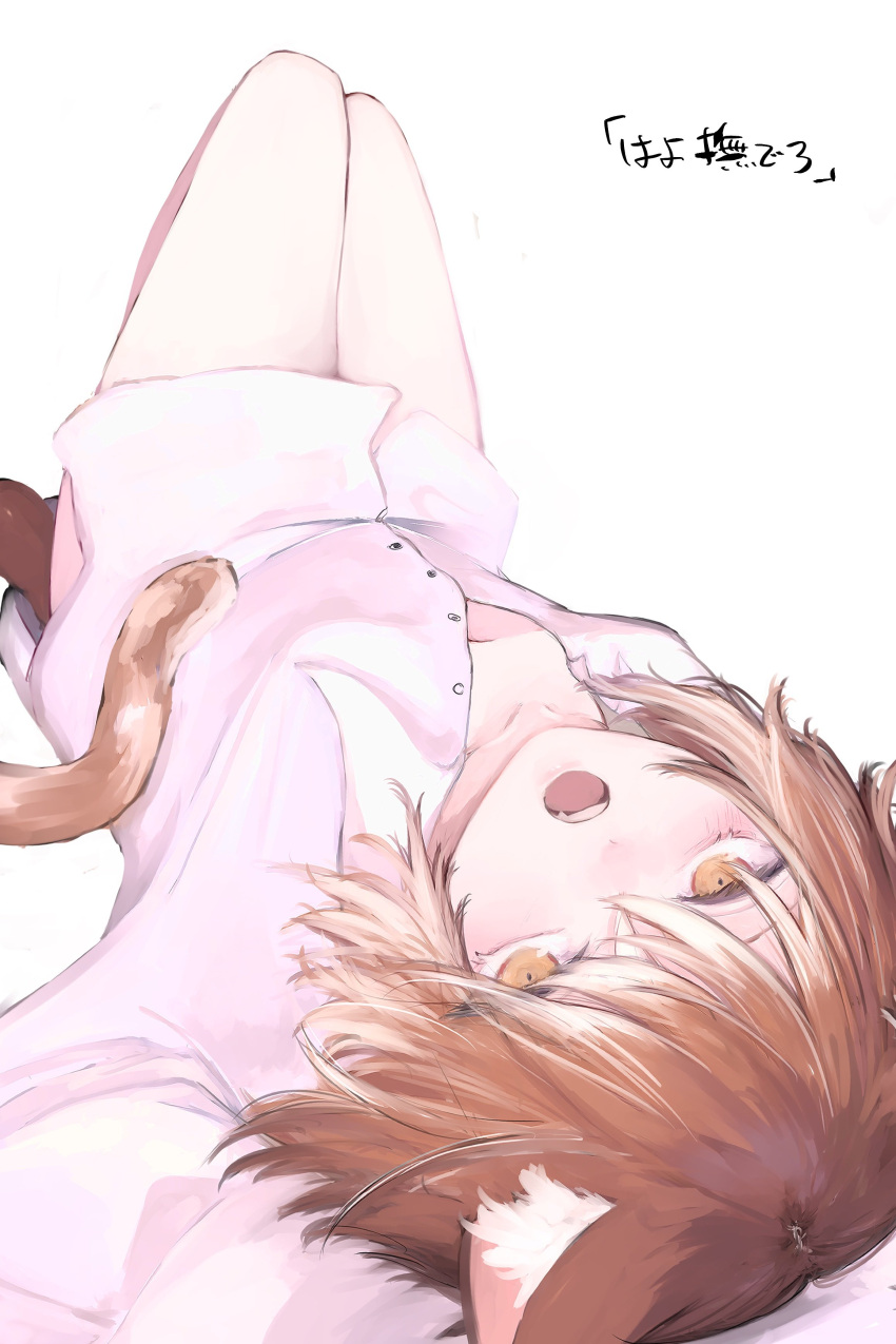 1girl absurdres animal_ear_fluff animal_ears breasts brown_eyes brown_hair cat_ears cat_girl cat_tail highres light_brown_hair long_sleeves looking_at_viewer lying multicolored_hair naked_shirt no_pants on_back open_mouth original partially_unbuttoned pink_shirt shirt short_hair small_breasts suzukano_pon tail two-tone_hair