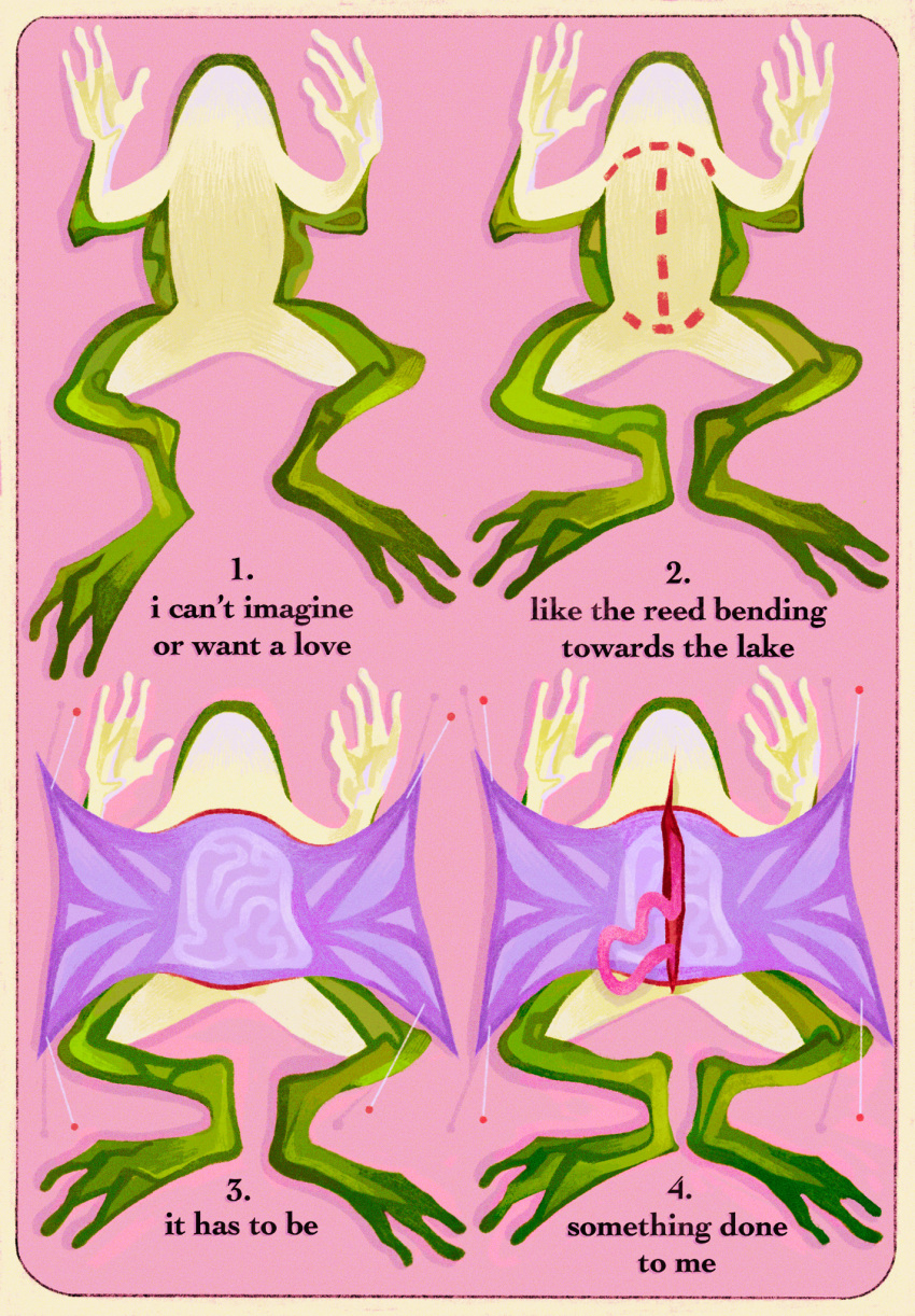 animal animal_focus border commentary dead_animal dissection english_commentary english_text frog guro highres how_to intestines no_humans original pin pink_background quezify simple_background tagme white_border