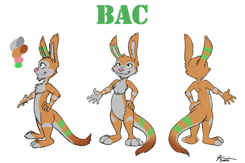 anthro chest_tuft digital_media_(artwork) facial_hair fan_character feral fur goatee green_eyes jak_and_daxter kbooki male mammal multiple_poses mustelid naughty_dog orange_body orange_fur ottsel paws pose semi-anthro simple_background solo sony_corporation sony_interactive_entertainment streaking tuft video_games