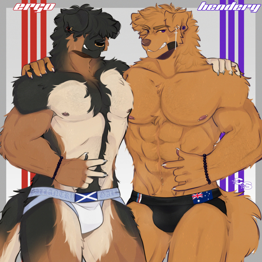 absurd_res anthro arm_hair australian_flag band-aid band-aid_on_face bandage bird_dog black_body black_fur black_hair bodily_fluids body_hair bracelet bulge canid canine canis cerberussenn chest_hair claws clothed clothing devil_horns_(gesture) domestic_dog duo ear_piercing ear_ring ergo_(ergo_shep) facial_piercing fingerpads fur gauged_ear german_shepherd gesture golden_retriever hair hair_over_eyes hands_behind_back happy_trail hendery_sabine_(cerberussenn) herding_dog hi_res hunting_dog jewelry jockstrap jockstrap_only male male/male mammal multicolored_body multicolored_fur muscular muscular_male musk musk_clouds navel navel_piercing nipple_piercing nipples nose_piercing nose_ring orange_body orange_fur pastoral_dog pawpads pecs piercing pink_nose purple_eyes retriever ring_piercing scottish_flag sharp_teeth signature simple_background smile sweat tail tan_body tan_fur teeth topless underwear underwear_only v_sign white_background yellow_body yellow_fur