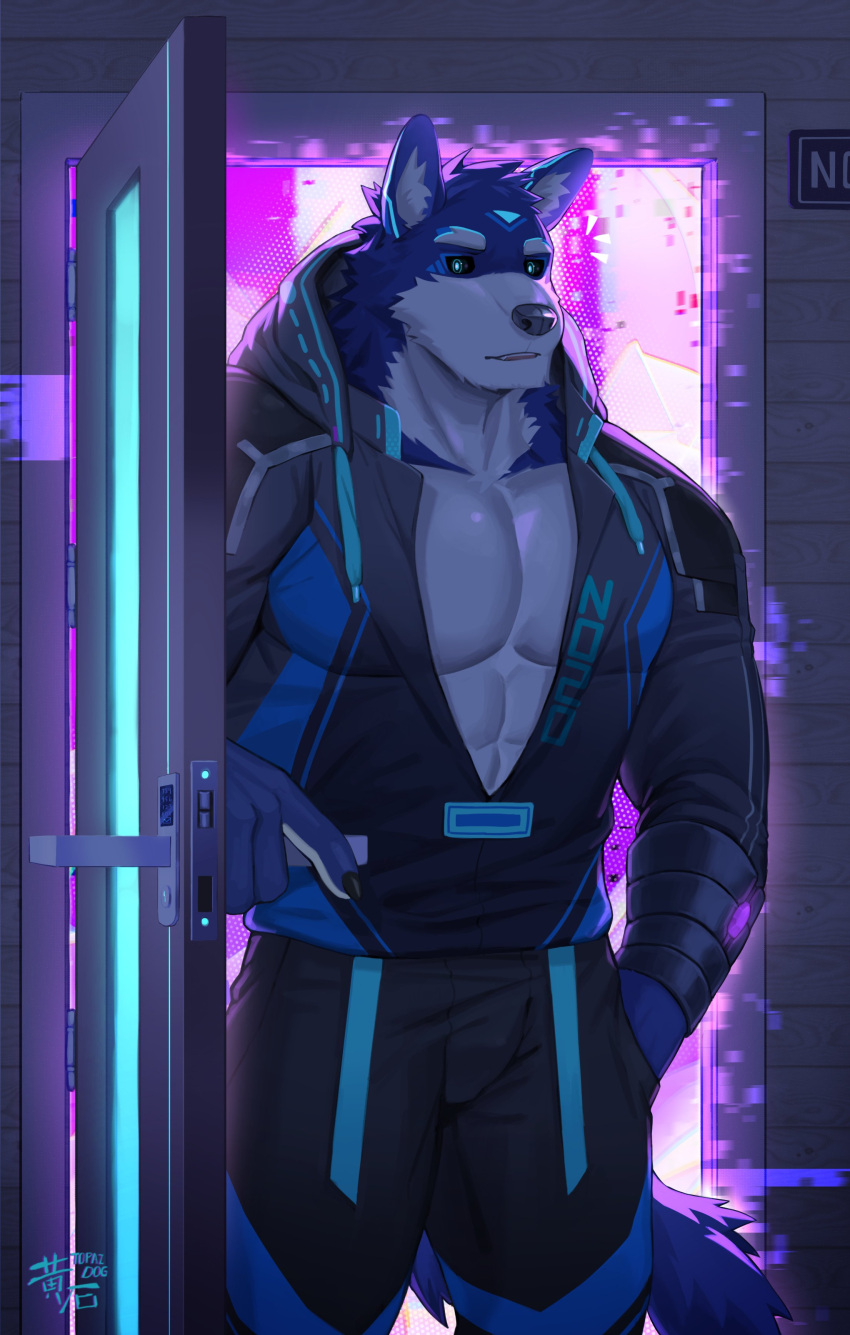 abs absurd_res anthro barazoku black_sclera blue_body blue_eyes blue_fur canid canine canis clothing countershading fur hi_res hoodie male mammal muscular muscular_anthro muscular_male open_door pecs solo topazdog topwear white_body white_countershading white_fur wolf