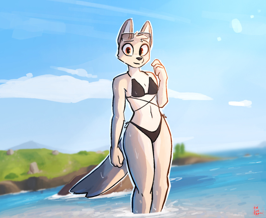 2022 anthro bikini canid canine canis clothing cloud day detailed_background digital_media_(artwork) enginetrap female fur hi_res jackal looking_at_viewer mammal outside sea signature sky solo standing swimwear water