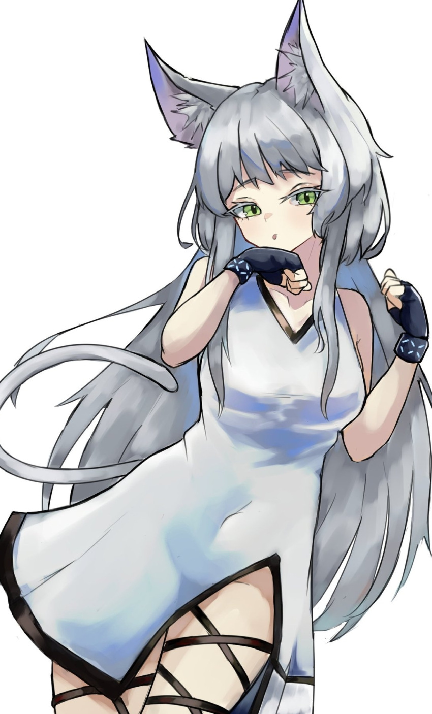 1girl animal_ear_fluff animal_ears arknights black_bracelet black_gloves breasts cat_ears cat_girl cat_tail cowboy_shot dress fingerless_gloves gloves green_eyes grey_hair hands_up highres infection_monitor_(arknights) leg_wrap long_hair looking_at_viewer medium_breasts paw_pose rosmontis_(arknights) simple_background solo tail tongue tongue_out unknownnoname0 very_long_hair white_background white_dress