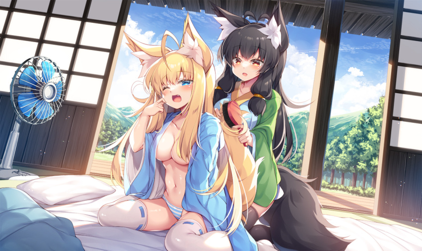 2girls ahoge animal_ear_fluff animal_ears antenna_hair bangs bed_sheet black_hair black_thighhighs blonde_hair blue_robe blush breasts day electric_fan fang fox_ears fox_girl fox_tail green_robe hair_brush hair_censor holding holding_another's_tail holding_brush indoors kneeling large_breasts long_hair long_sleeves looking_at_another multiple_girls navel no_bra one_eye_closed open_clothes open_mouth open_robe original panties pillow red_eyes ribbon-trimmed_legwear ribbon_trim robe roshin sitting striped striped_panties tail tail_brushing thighhighs tree underwear very_long_hair wariza white_thighhighs wide_sleeves