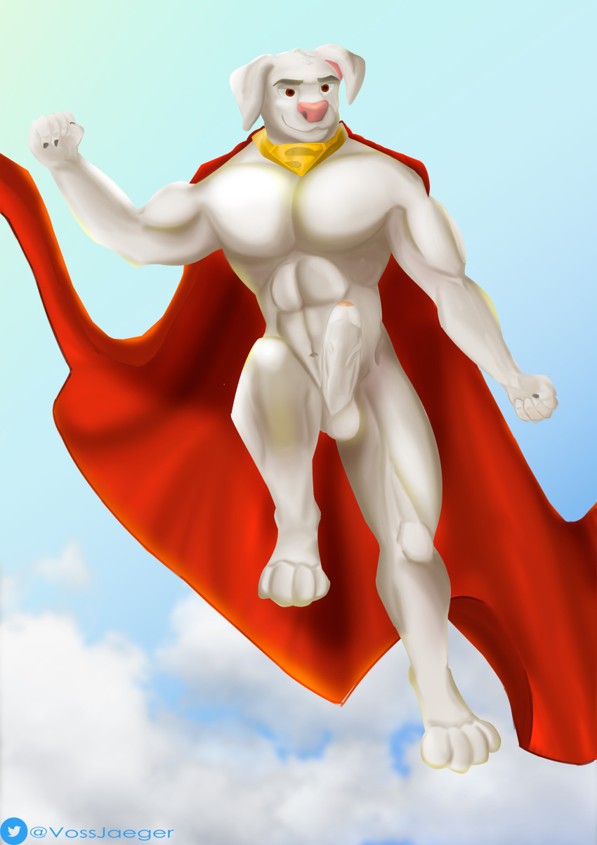 absurd_res anthro balls canid canine canis cape clothing collar dc_comics digital_media_(artwork) domestic_dog erection fur genitals hi_res humanoid_genitalia humanoid_penis krypto krypto_the_superdog male mammal muscular muscular_male nude pecs penis simple_background solo vossjaeger