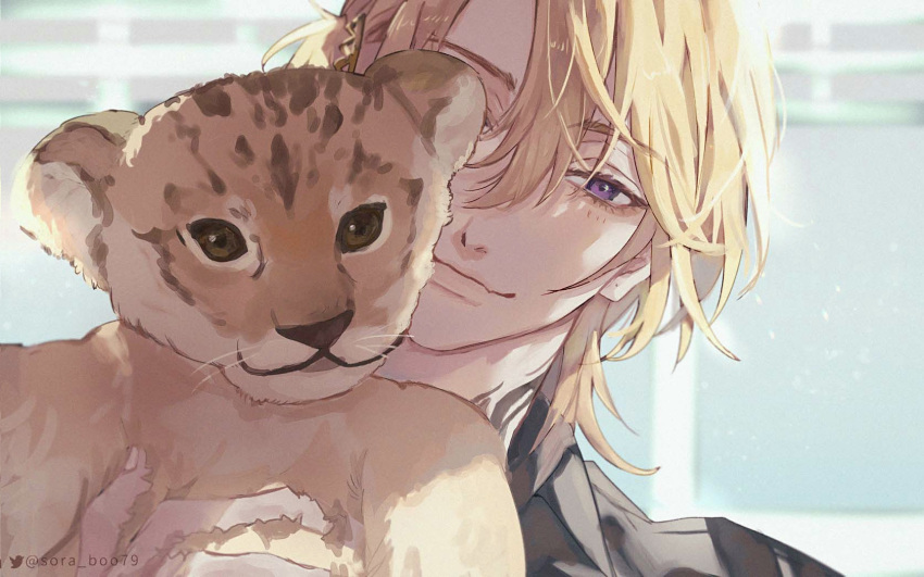 1boy animal bangs blonde_hair closed_mouth cub hair_between_eyes hair_ornament hairclip highres holding holding_animal looking_at_viewer luca_kaneshiro male_focus nijisanji nijisanji_en one_eye_covered purple_eyes short_hair short_sidetail solo soranaki tiger tiger_cub twitter_logo twitter_username virtual_youtuber