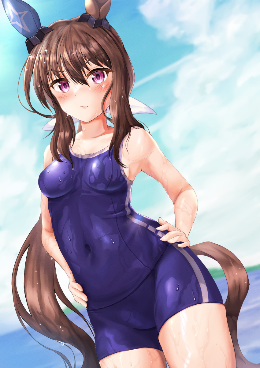 1girl absurdres admire_vega_(umamusume) animal_ears blush breasts brown_hair cloud collarbone commentary_request covered_navel hair_ornament highres horse_ears horse_girl horse_tail medium_breasts ocean ponytail school_swimsuit shuten_(shutehaan) sky swimsuit tail umamusume