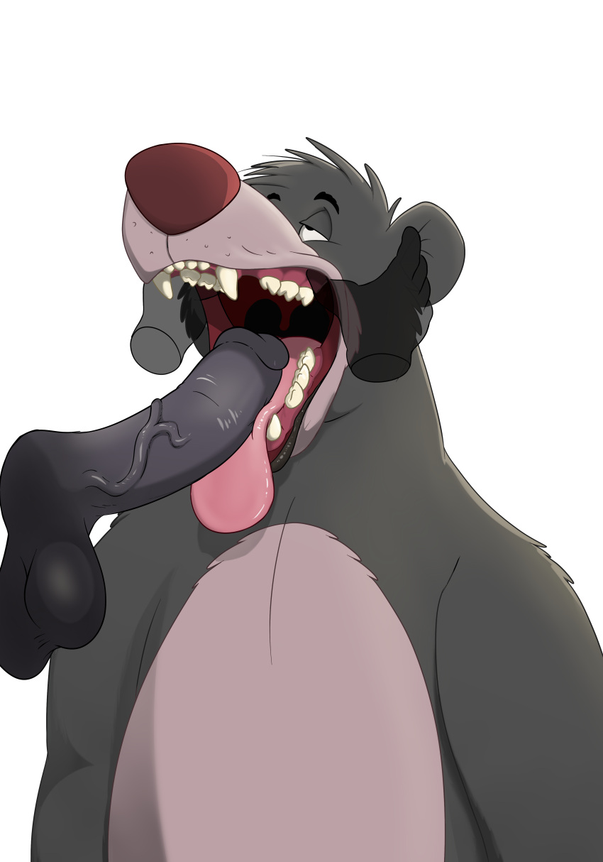 absurd_res anthro balls baloo disembodied_hand duo fellatio fur genitals ghost_hands grey_body grey_fur hi_res looking_up magzol male male/male mammal mouth_shot open_mouth oral penile penis sex sharp_teeth solo_focus tagme teeth the_jungle_book tongue tongue_out ursid