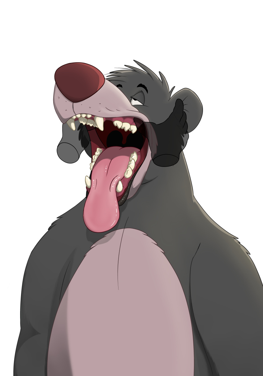 absurd_res anthro baloo disembodied_hand fur ghost_hands grey_body grey_fur hi_res looking_up magzol male mammal mouth_shot open_mouth sharp_teeth solo solo_focus tagme teeth the_jungle_book tongue tongue_out ursid