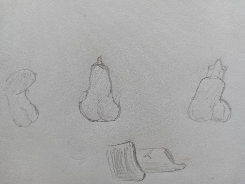 absurd_res ambiguous_gender anatomically_correct anatomically_correct_genitalia anatomically_correct_penis animal_genitalia animal_penis balls canid canine disembodied_penis front_view genitals half-erect hi_res male mammal penis penis_sheet sheath side_view trist_the_fur