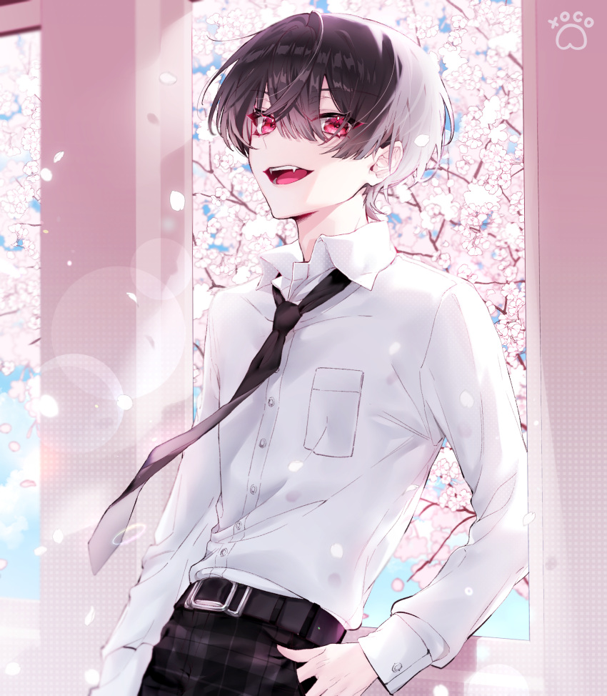 1boy artist_name bangs belt belt_buckle black_belt black_hair black_necktie black_pants breast_pocket buckle buttons cherry_blossoms collared_shirt dress_shirt falling_petals fangs hair_between_eyes hand_in_pocket highres indoors kuzuha_(nijisanji) light_rays long_sleeves looking_at_viewer male_focus necktie nijisanji open_mouth pants petals plaid plaid_pants pocket red_eyes school_uniform shirt shirt_tucked_in short_hair solo standing teeth tongue tree white_shirt window wing_collar xoco