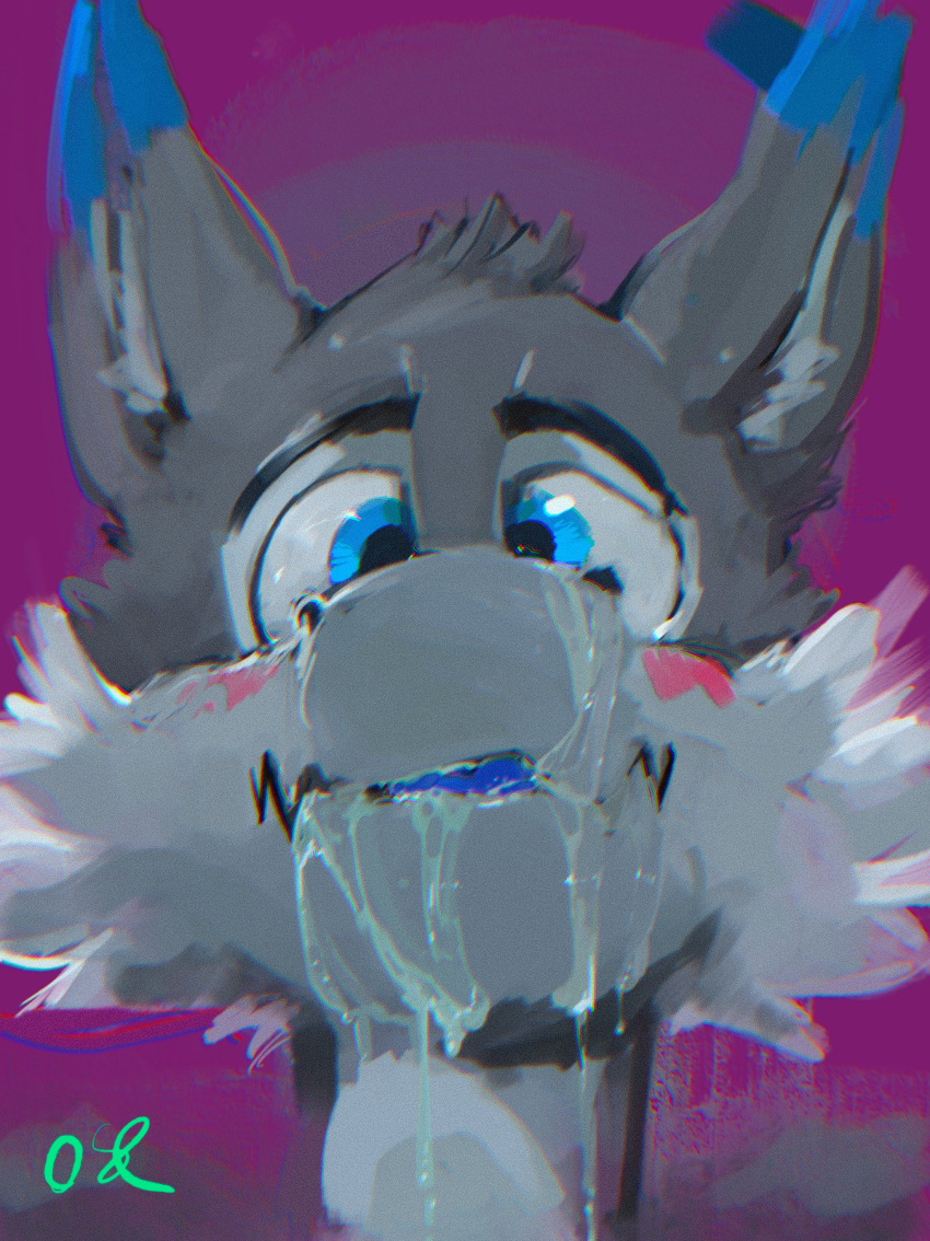 absurd_res anthro black_eyebrows blue_body blue_ears blue_eyes blue_fur blush bodily_fluids bust_portrait cheek_tuft cum cum_on_face dipstick_ears eyebrows facial_tuft front_view fur genital_fluids glistening glistening_eyes grey_body grey_ears grey_fur grey_head_tuft grey_inner_ear_fluff head_tuft hi_res inner_ear_fluff male multicolored_ears oselotti portrait signature solo tuft