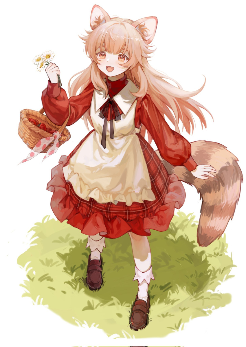 1girl :d animal_ear_fluff animal_ears apron bangs basket blunt_bangs brown_eyes brown_footwear brown_hair daisy dress flower food frilled_apron frilled_dress frilled_legwear frills from_above fruit full_body grass hand_up highres holding holding_basket holding_flower kasakasakasa loafers long_hair long_sleeves looking_at_object neck_ribbon open_mouth original outdoors plaid plaid_dress puffy_long_sleeves puffy_sleeves raccoon_ears raccoon_girl raccoon_tail red_dress ribbon shoes simple_background smile socks solo standing strawberry tail turtleneck_dress white_apron white_background white_socks