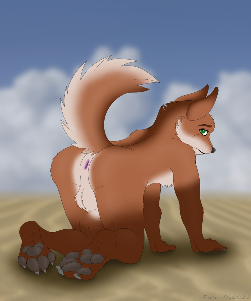 anthro anus balls butt canid canine canis digital_media_(artwork) domestic_dog furry genitals hi_res male mammal nude pawpads paws presenting raised_(disambiguation) tail