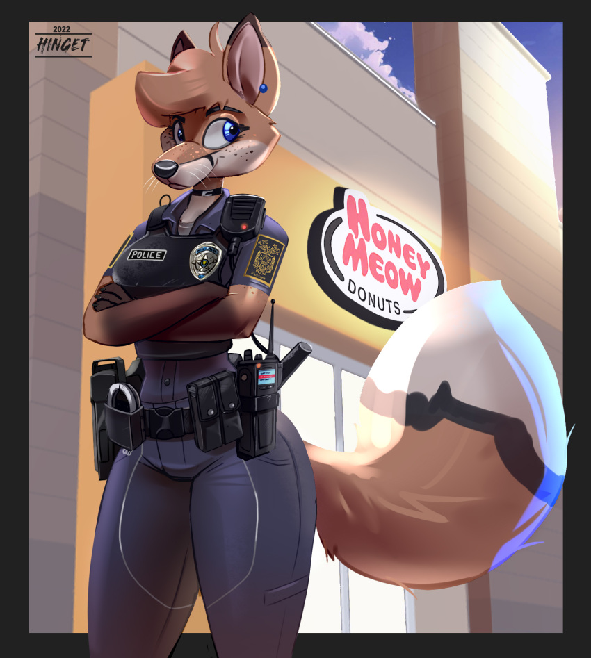 2022 anthro artist_name black_border border bottomwear canid canine clothing cloud crossed_arms female fox hi_res hinget mammal pants police_officer police_uniform sign sky solo topwear uniform walkie_talkie watermark