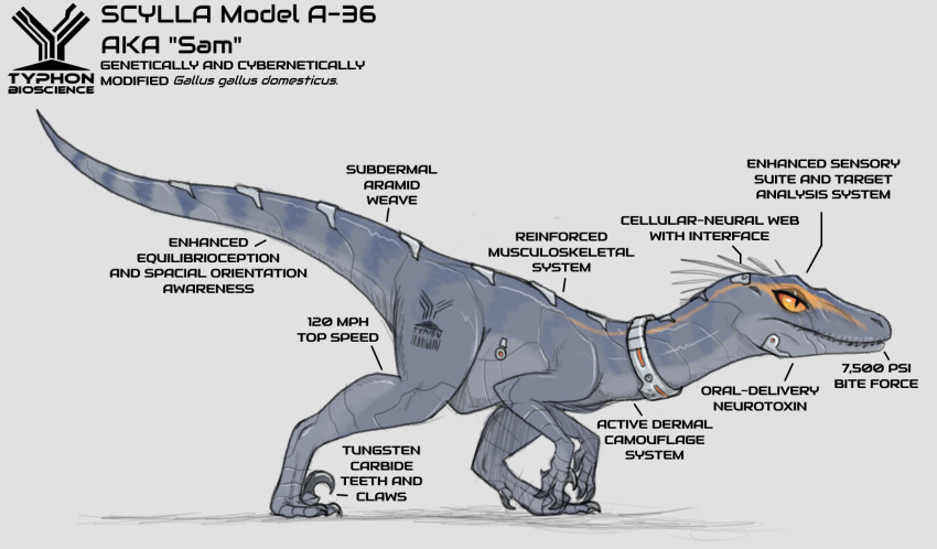 ambiguous_gender blue_body blue_skin cybernetics cyborg dinosaur dromaeosaurid featherless feral hi_res information_label machine orange_eyes phlegraofmystery reptile sam_(phlegraofmystery) scalie solo theropod velociraptor