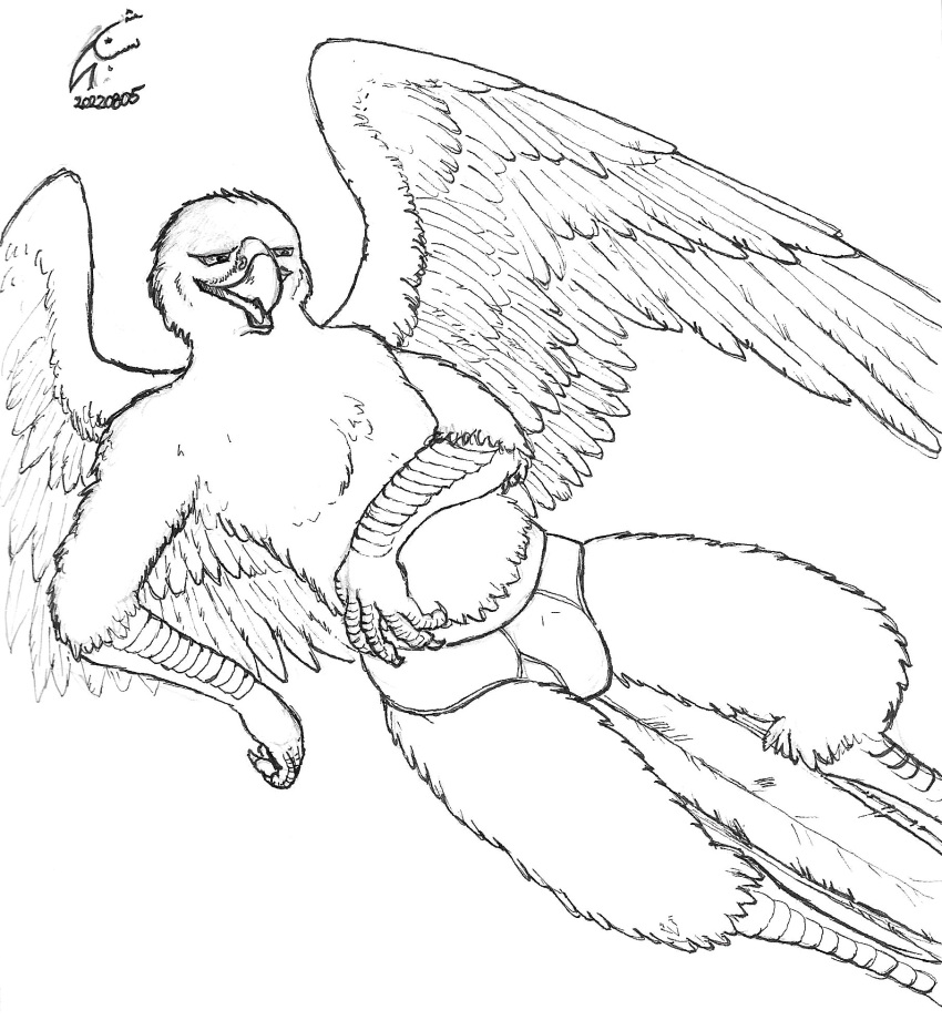 anthro avian beak bird briefs clothing falcon falconid feathers half-closed_eyes hand_on_stomach hi_res lying male narrowed_eyes peregrine_falcon reclining scaled_arms scaled_legs scales shabnack_(artist) signature smile solo spread_wings tail_feathers talons traditional_media_(artwork) underwear wings