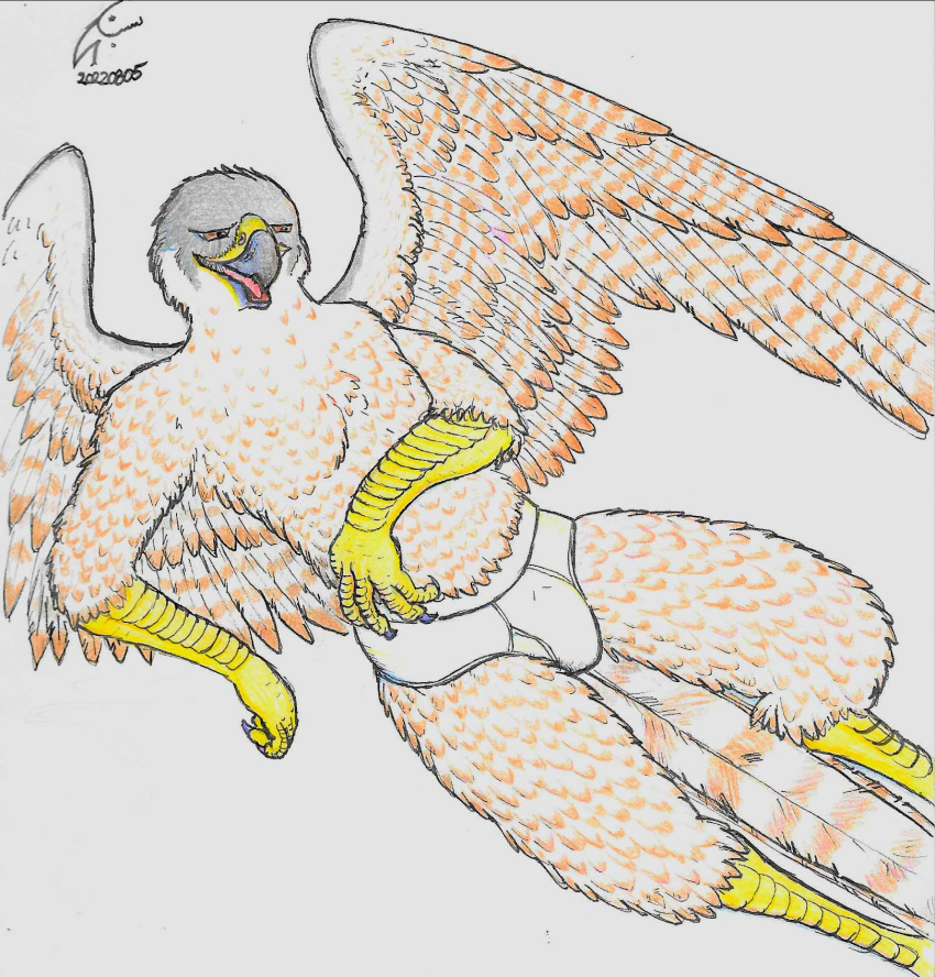 anthro avian beak bird briefs briefs_only brown_body brown_feathers clothing falcon falconid feathered_wings feathers grey_body grey_feathers half-closed_eyes hand_on_stomach hi_res lying male multicolored_body multicolored_feathers narrowed_eyes open_beak open_mouth open_smile peregrine_falcon reclining scaled_arms scaled_legs scales shabnack_(artist) signature simple_background smile solo tail_feathers talons traditional_media_(artwork) underwear wings yellow_body yellow_cere yellow_scales