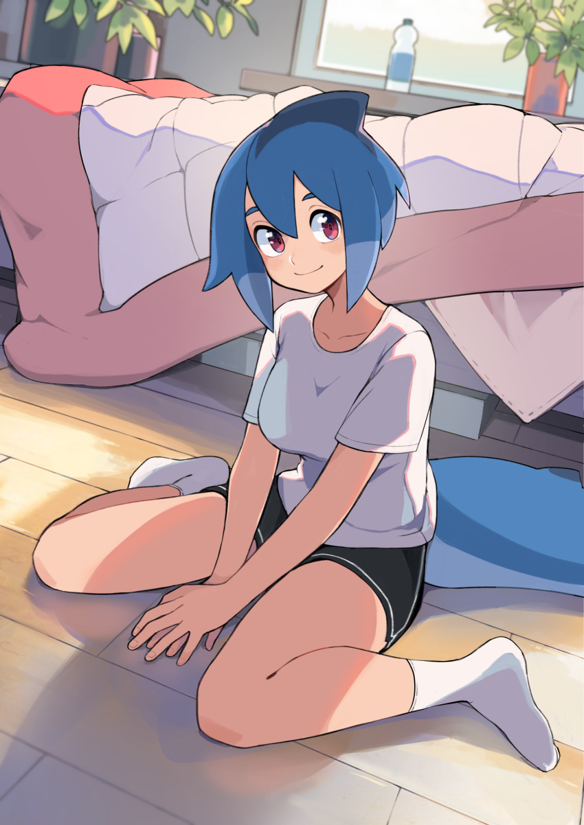 1girl azuumori bangs bed black_shorts blue_hair bottle breasts closed_mouth collarbone comforter dutch_angle fish_tail gym_shorts hair_between_eyes highres indoors large_breasts looking_at_viewer on_floor original own_hands_together plant potted_plant red_eyes shark_girl_(azuumori) shark_tail shirt short_hair_with_long_locks short_sleeves shorts sidelocks sitting smile socks solo straight_hair tail tareme wariza water_bottle white_shirt white_socks window wooden_floor