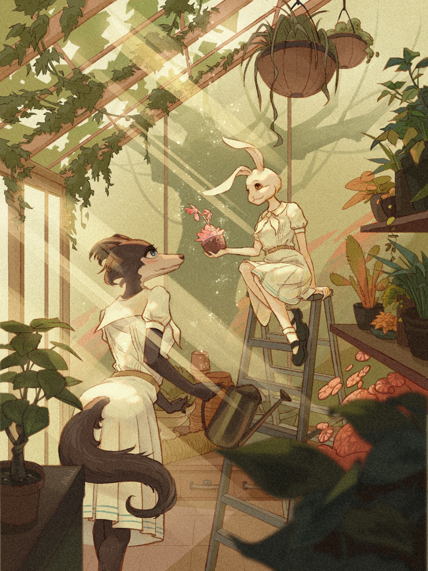 2girls absurdres arm_support beastars belt black_footwear blurry blush breasts depth_of_field eye_contact flower furry furry_female garden gardening giving greenhouse hanging_plant haru_(beastars) highres holding holding_watering_can indoors juno_(beastars) ladder light_rays looking_at_another looking_away looking_down looking_up mary_janes multiple_girls neckerchief pink_flower plant pleated_skirt potted_plant profile puffy_short_sleeves puffy_sleeves rabbit_girl school_uniform shelf shoes short_sleeves sitting skirt skirt_set smile socks standing tree vines wanxinyuu watering_can white_neckerchief white_skirt white_socks wolf_girl