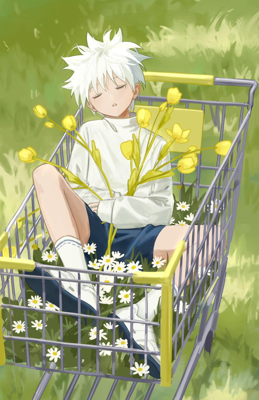 1boy absurdres bangs blue_shorts closed_eyes daisy flower grass highres hunter_x_hunter killua_zoldyck long_sleeves male_focus outdoors parted_lips shorts sitting sleeping sleeping_upright socks solo spiked_hair sweater tulip white_flower white_footwear white_hair white_socks white_sweater yellow_flower yuhuan