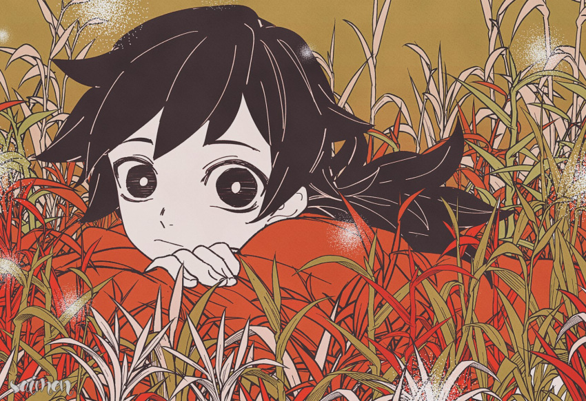 1boy arm_pillow artist_name bangs brown_background child crossed_legs grass highres hu_(saimens) japanese_clothes kimetsu_no_yaiba kimono light_particles limited_palette long_hair looking_at_viewer lying male_child male_focus on_ground on_stomach ponytail red_kimono solo tomioka_giyuu upper_body younger