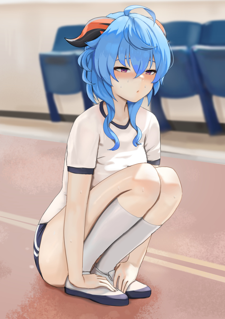 1girl :/ absurdres ahoge alternate_costume alternate_hair_length alternate_hairstyle bangs bloomers blue_hair blue_shorts blurry blurry_background blush breasts chair closed_mouth concentrating contemporary depth_of_field dolri full_body ganyu_(genshin_impact) genshin_impact goat_horns gym_uniform hair_between_eyes half-closed_eyes hands_on_feet highres horns indoors knees_to_chest legs_together medium_breasts purple_eyes shirt short_hair_with_long_locks short_sleeves shorts sidelocks sitting socks solo squatting sweat thighs underwear white_footwear white_shirt white_socks