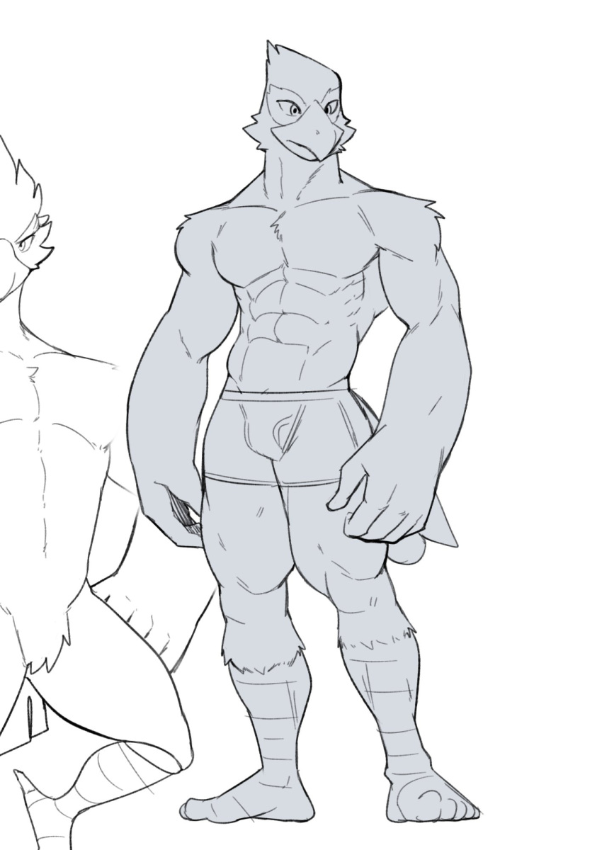 anthro avian bird boxer_briefs bulge clothed clothing falco_lombardi hi_res jrjresq male muscular muscular_male nintendo sketch solo star_fox topless underwear video_games