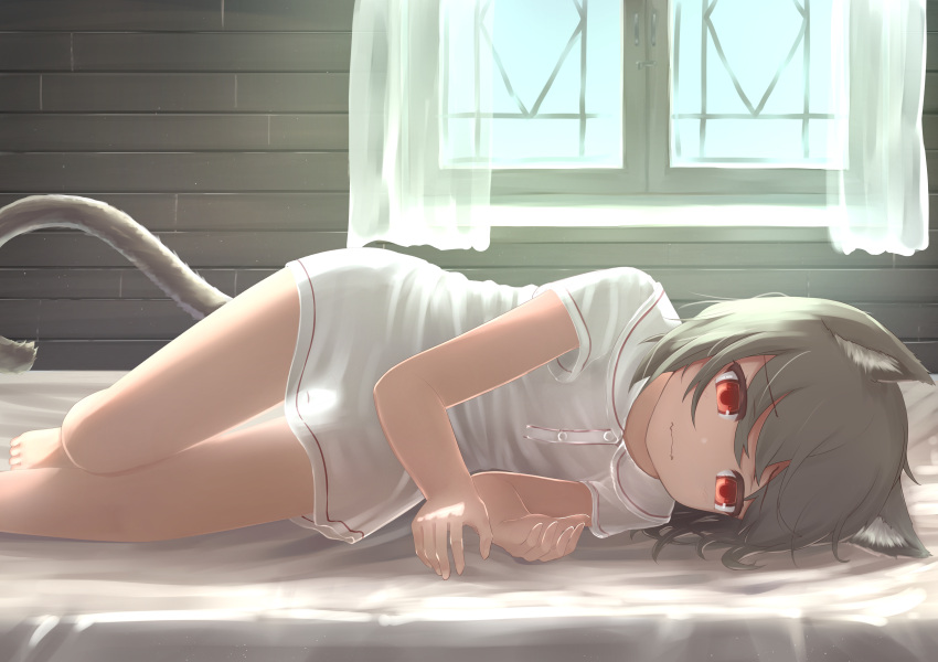 1girl absurdres animal_ear_fluff animal_ears bed brown_hair cat_ears cat_girl cat_tail curtains flat_chest grey_hair highres indoors lying naked_shirt on_bed on_side original red_eyes reito_(lyra-yasao-0628) see-through_silhouette shirt short_hair short_sleeves sunlight tail wavy_mouth white_shirt window