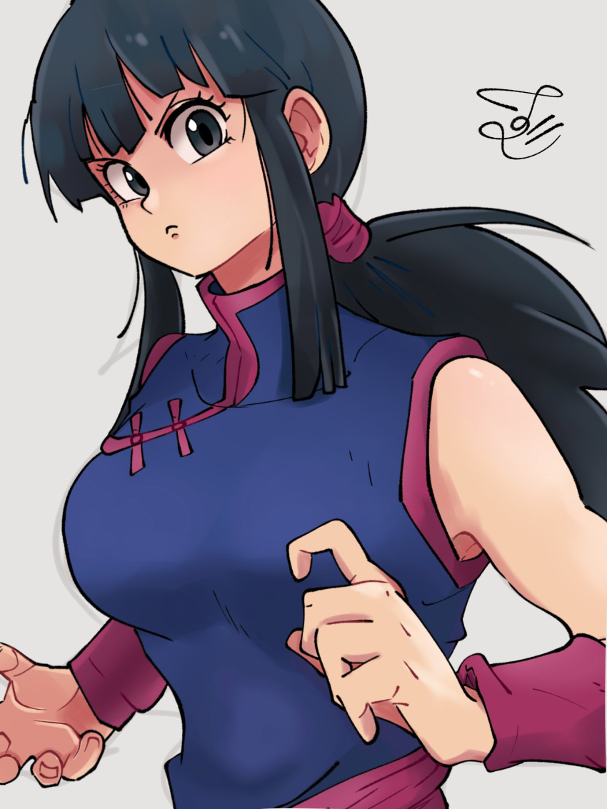 1girl bangs black_eyes black_hair breasts chi-chi_(dragon_ball) chinese_clothes dragon_ball dragon_ball_(classic) fighting_stance highres long_hair looking_at_viewer low_ponytail ponytail sash sidelocks signature sleeveless solo upper_body zurui