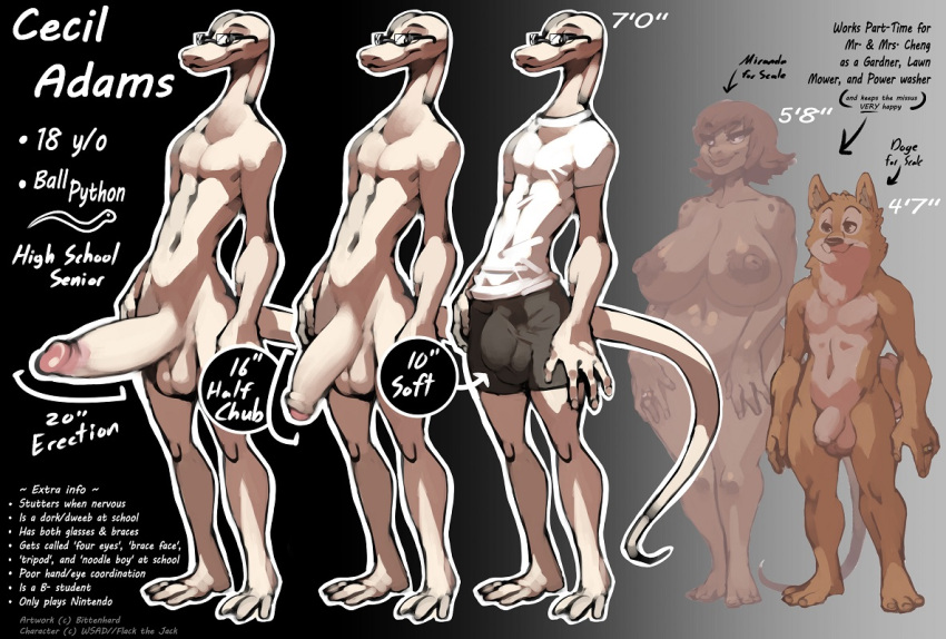 animal_genitalia anthro balls big_balls big_breasts big_penis bittenhard breasts brown_body brown_hair brown_skin bulge canid canine canis cecil_(wsad) clothed clothing countershading curvy_figure domestic_dog erection female flaccid foreskin fur genitals group hair komodo_dragon lizard male mammal miranda_(wsad) model_sheet monitor_lizard nipples nude orange_body orange_fur partially_clothed penis python reptile scalie sheath shiba_inu skinny slim snake spitz teenager underwear white_body white_skin young