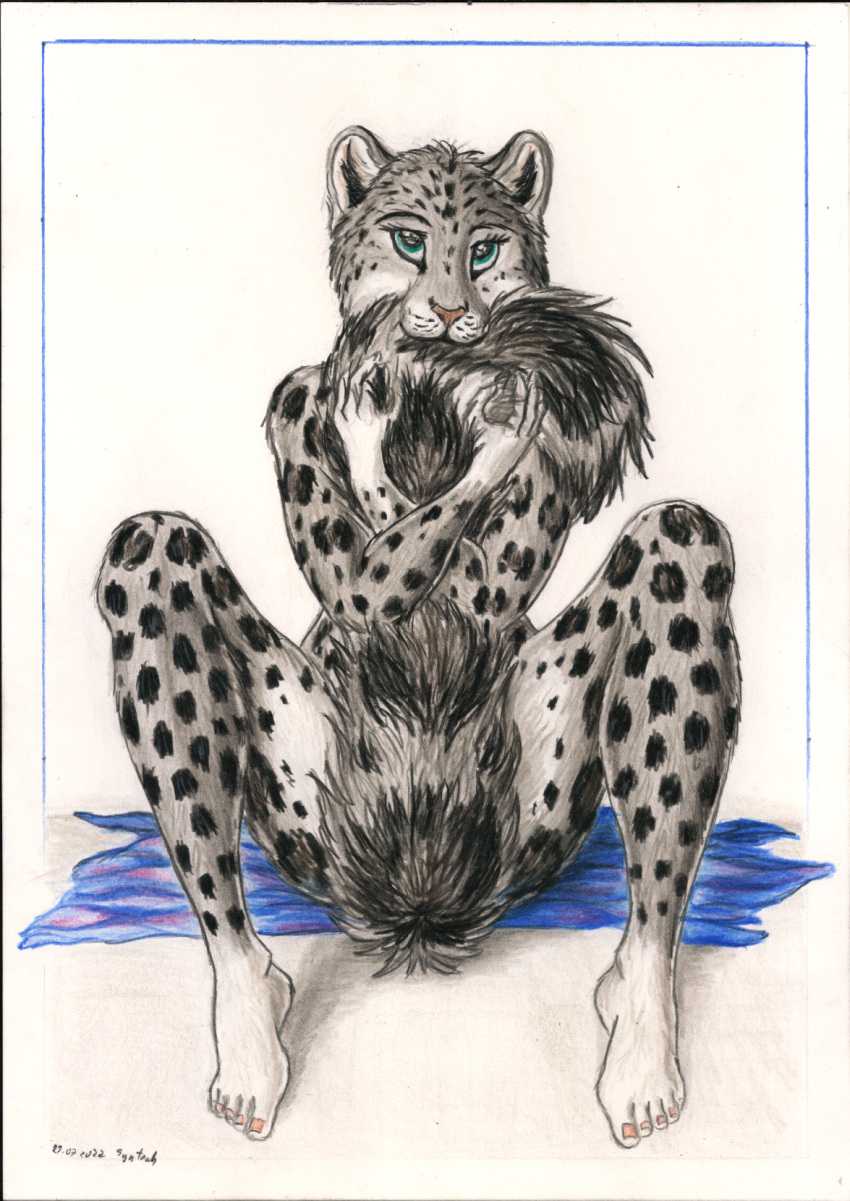 anthro bite felid female hi_res looking_at_viewer mammal nude pantherine plantigrade simple_background sitting snow_leopard solo spread_legs spreading syntech tail_bite tail_hug tail_in_mouth towel traditional_media_(artwork)