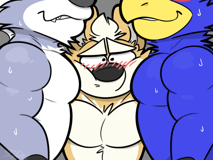 2022 anthro anthro_on_anthro avian barazoku beak big_muscles bird blush bodily_fluids canid canine canis eyebrows face_squish falco_lombardi falcon falconid feathers fox fox_mccloud fur grey_background group hair male male/male mammal manwiched muscular muscular_anthro muscular_male nintendo nude pecs sandwiched signature simple_background smile squish standing star_fox sweat teeth toony trio tuft video_games wet wet_body wet_feathers wet_fur wizzdono wolf wolf_o'donnell
