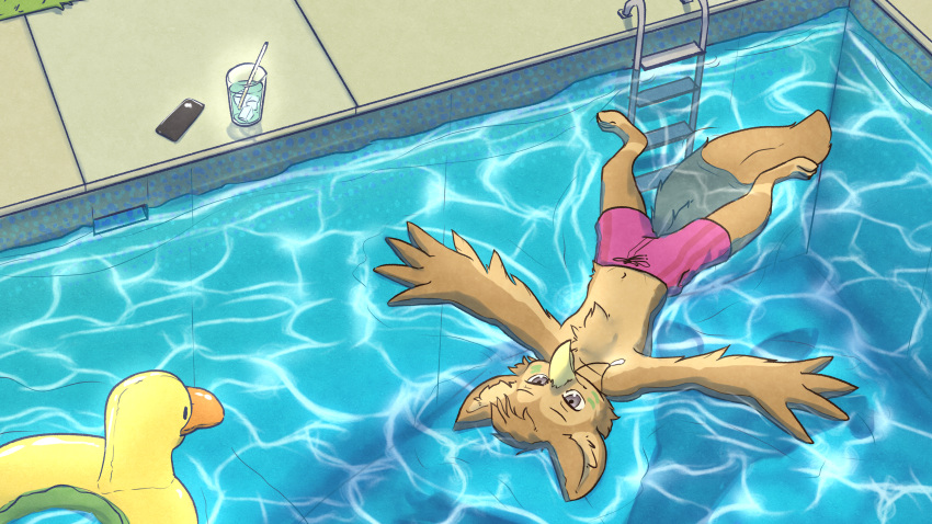 absurd_res anthro avian beverage bird clothing floating hi_res invalid_background mendobear phone pool_(disambiguation) pool_toy swimwear