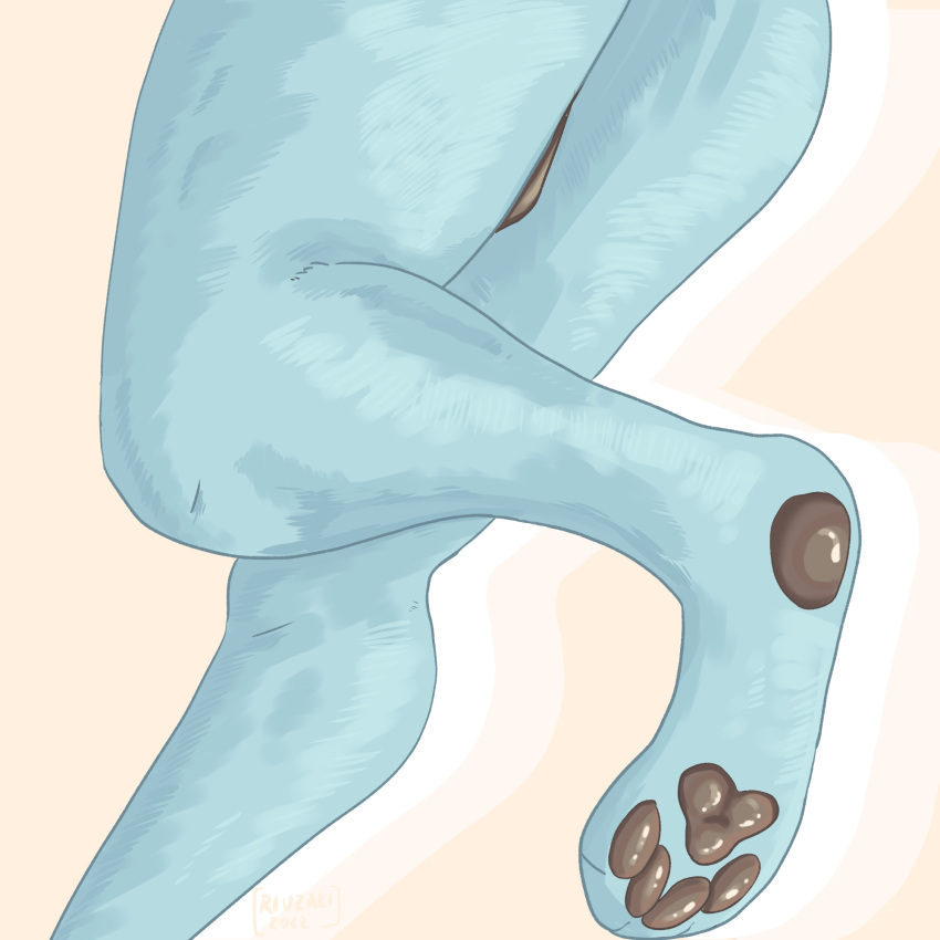 4_toes ambiguous_gender ambiguous_species anthro blue_body blue_fur brown_pawpads clothing digital_media_(artwork) feet fur hi_res pawpads riuzzaki simple_background solo toes