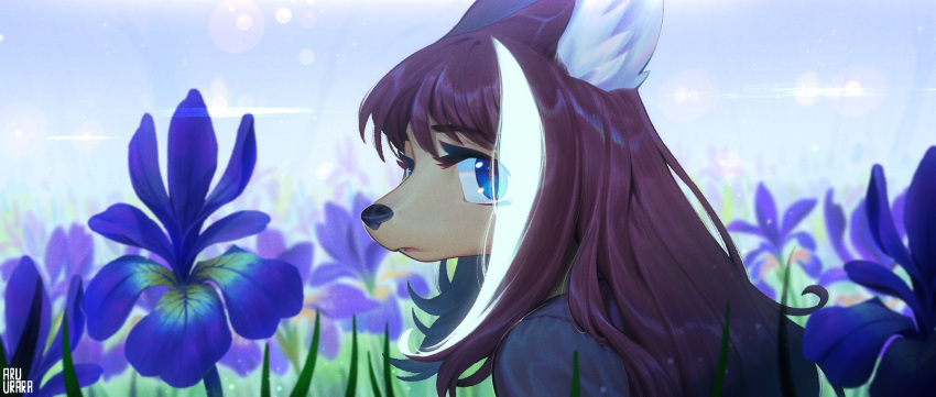 2019 anthro aruurara blue_eyes brown_hair canid canine female field flower fur hair head_turned headshot_portrait hi_res highlights_(coloring) iris_(flower) kemono lens_flare mammal plant portrait profile_view sakura_(aruurara) solo tan_body tan_fur white_hair