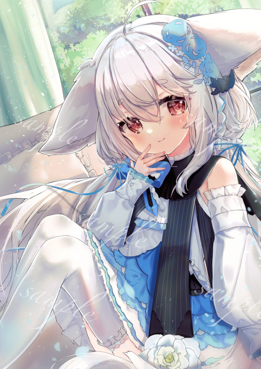 1girl \||/ absurdres ahoge animal_ears bangs bare_shoulders blue_bow blue_dress blue_flower blush bow carnation detached_sleeves dress feet_out_of_frame flower fox_ears frills grey_hair hair_between_eyes hand_up highres indoors knees_up light_smile long_hair long_sleeves looking_at_viewer original puffy_long_sleeves puffy_sleeves red_eyes sample_watermark socks solo thighhighs tito_(osakanakana0_0) very_long_hair white_flower white_socks window