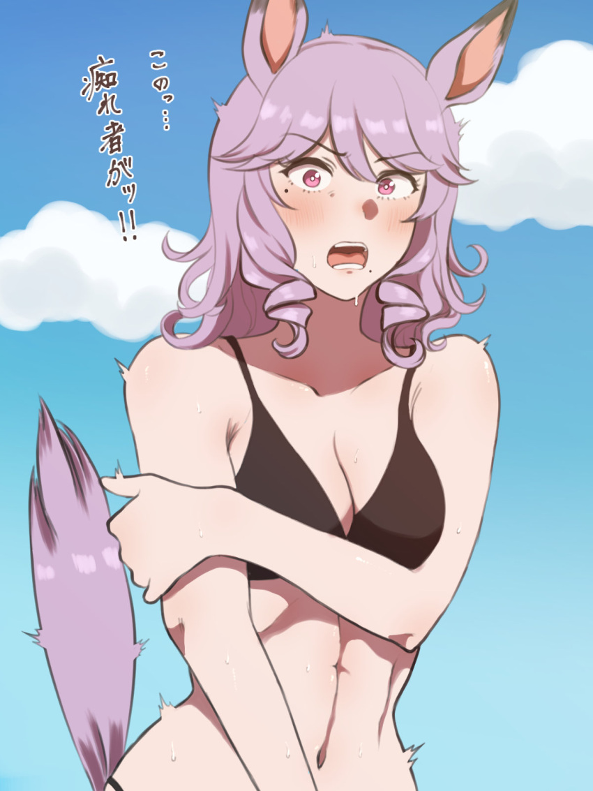 1girl animal_ears bangs bare_shoulders bikini black_bikini blush borrowed_character breasts cleavage cloud curly_hair furrowed_brow hair_between_eyes highres horse_ears horse_girl horse_tail kumabachi315 medium_hair mejiro_family_matriarch mole mole_under_eye navel open_mouth original purple_eyes purple_hair ringlets sky_background solo speech_bubble stiff_tail sweatdrop swimsuit tail tail_raised translated umamusume upper_body