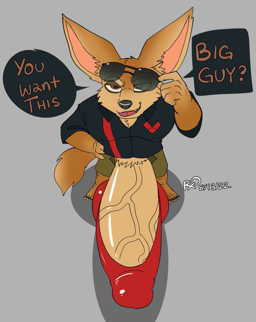 absurd_res anthro big_penis bottomwear bulge canid canine clothed clothing disney eyewear fennec finnick fox genitals hi_res huge_penis looking_at_viewer male mammal open_bottomwear open_clothing open_pants pants penis rxq sunglasses underwear zootopia