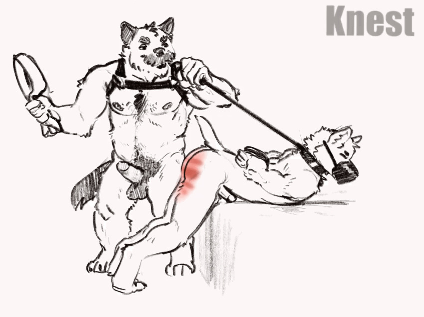 &lt;3 animated anthro balls bdsm belt butt canid canine clothing collar duo erection eyes_closed genitals hairy hands_behind_back knest leash leather leather_clothing male male/male mammal muscular muzzle_(disambiguation) penis red_butt spanking spanking_marks