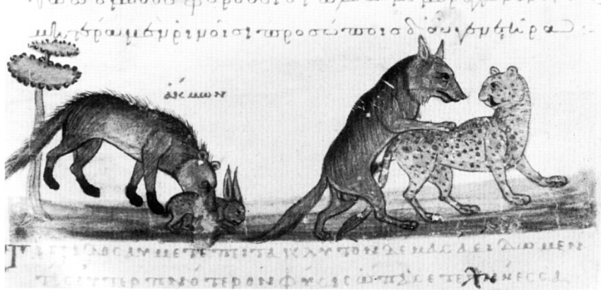 10th_century all_fours ambiguous_gender ancient ancient_furry_art balls canid canine canis doggystyle erection felid feral feral_on_feral from_behind_position fur greek greek_text interspecies lagomorph leopard male mammal monochrome oppian_of_apamea_(artist) outside pantherine penis plant predator/prey rabbit sex text wolf