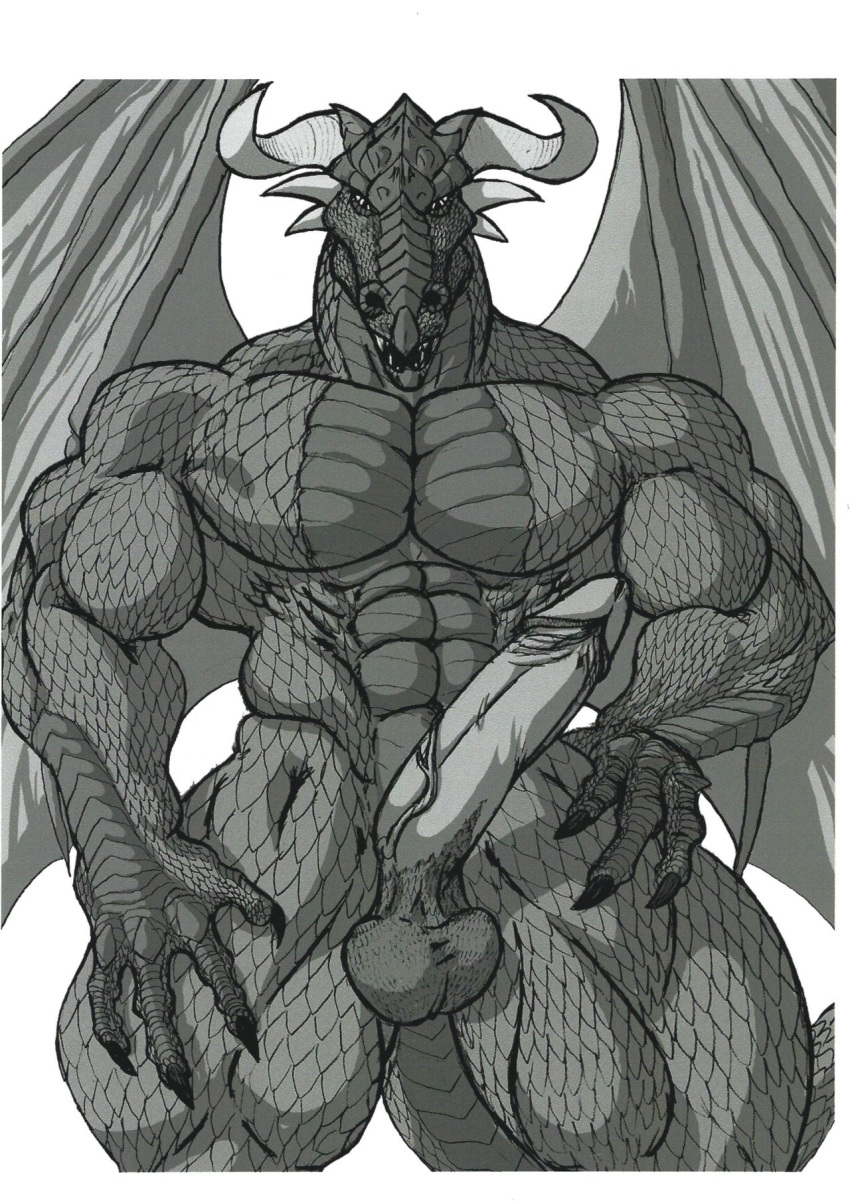 anthro big_penis claws dragon genitals hi_res horn humanoid male muscular muscular_male pecs penis scales simple_background solo sudonym thick_thighs trapezius white_background wings