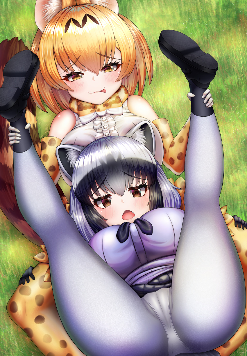 2girls :p absurdres animal_ears ankle_grab bangs bare_shoulders behind_another black_hair black_skirt blush bow bowtie breast_press breast_rest breasts breasts_on_head brown_eyes cameltoe center_frills chestnut_mouth closed_mouth commission common_raccoon_(kemono_friends) crotch day elbow_gloves embarrassed english_commentary fang frills from_above furrowed_brow gloves grabbing grass grey_hair grey_pantyhose groin hair_between_eyes half-closed_eyes hands_on_another's_thighs highres kemono_friends large_breasts legs_up looking_at_viewer lying lying_on_person medium_hair multicolored_hair multiple_girls naughty_face neukkom on_back on_grass on_ground open_mouth orange_bow orange_bowtie outdoors panties panties_under_pantyhose pantyhose presenting print_bow print_bowtie print_gloves print_legwear print_skirt raccoon_ears raccoon_girl raccoon_tail serval_(kemono_friends) serval_print shiny shiny_hair shirt shoes skirt sleeveless sleeveless_shirt socks soles spread_legs sweater tail tongue tongue_out underwear white_bow white_bowtie white_hair white_panties yellow_eyes