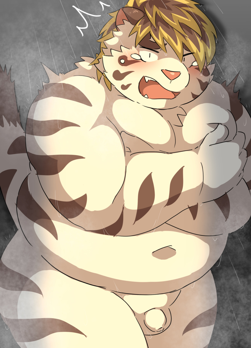 2022 anthro balls belly big_belly blush bodily_fluids felid flaccid genitals hi_res kemono licho_(tas) lifewonders male mammal moobs navel overweight overweight_male pantherine penis ptcmtr small_penis solo surprise tears tiger tokyo_afterschool_summoners video_games white_body