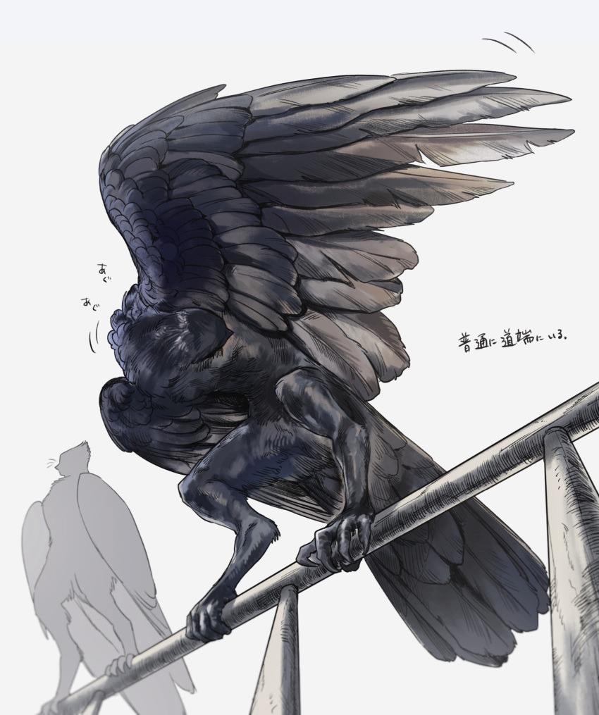 2others bird bird_wings black_wings crow feathered_wings full_body highres multiple_others no_humans original preening railing simple_background solo squatting standing suzumori_521 talons white_background wings