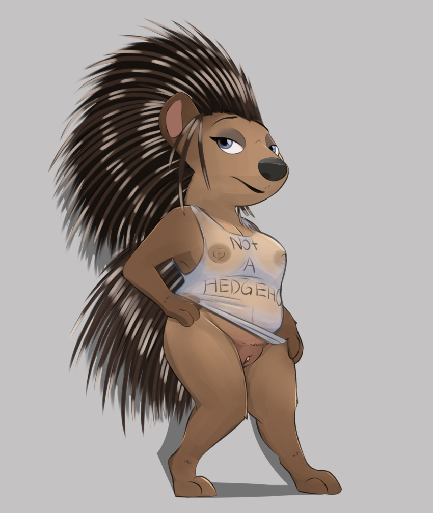 2022 anthro ash_(sing) bottomless bottomless_anthro bottomless_female breasts clothed clothing female full-length_portrait genitals hi_res honeymono illumination_entertainment looking_at_viewer mammal nipples porcupine portrait pussy rodent shirt sing_(movie) solo standing tank_top topwear translucent translucent_clothing